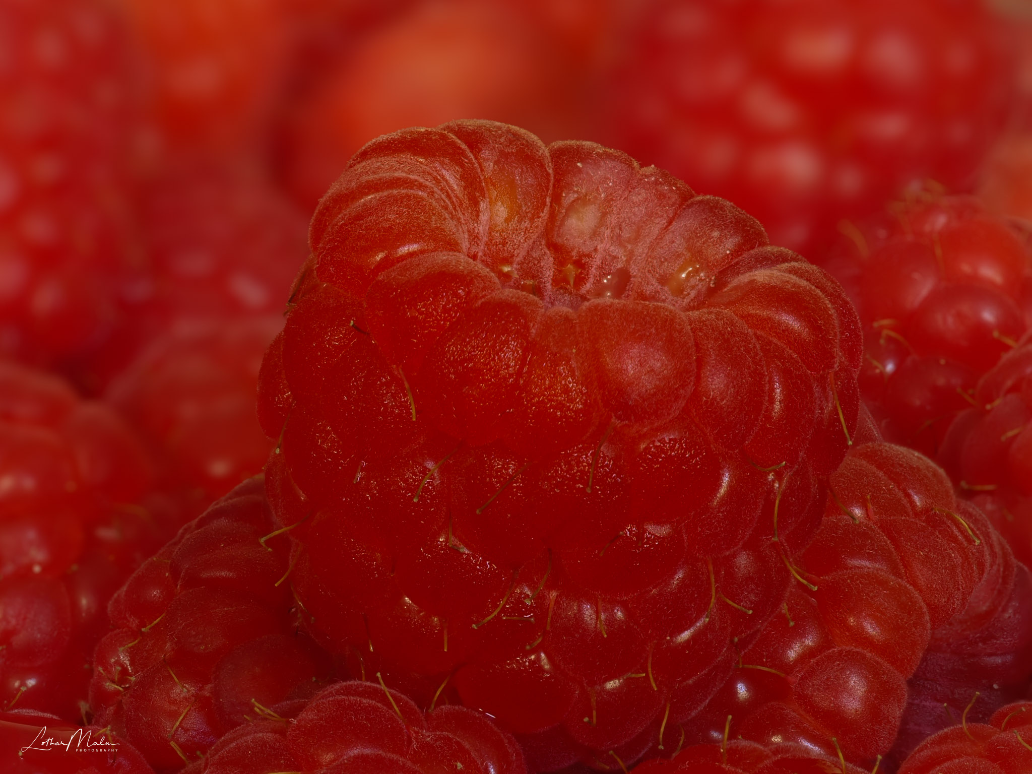 Himbeeren